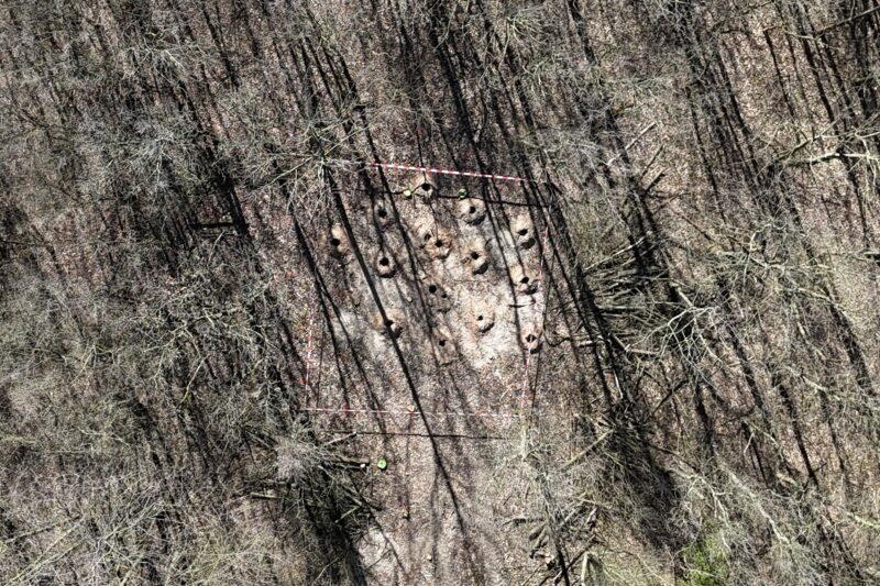 Sondierungs-Loch im Waldboden als Indikator für Kampfmittel bei Untersuchungen in NRW